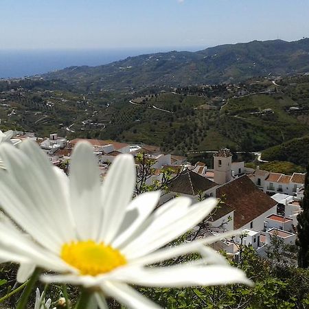 Casa Ana, Fantasticas Vistas A Frigiliana, El Mar Y La Montana Βίλα Εξωτερικό φωτογραφία