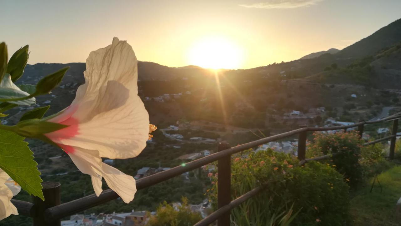 Casa Ana, Fantasticas Vistas A Frigiliana, El Mar Y La Montana Βίλα Εξωτερικό φωτογραφία