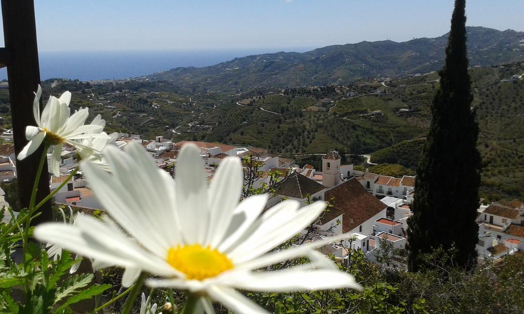 Casa Ana, Fantasticas Vistas A Frigiliana, El Mar Y La Montana Βίλα Εξωτερικό φωτογραφία