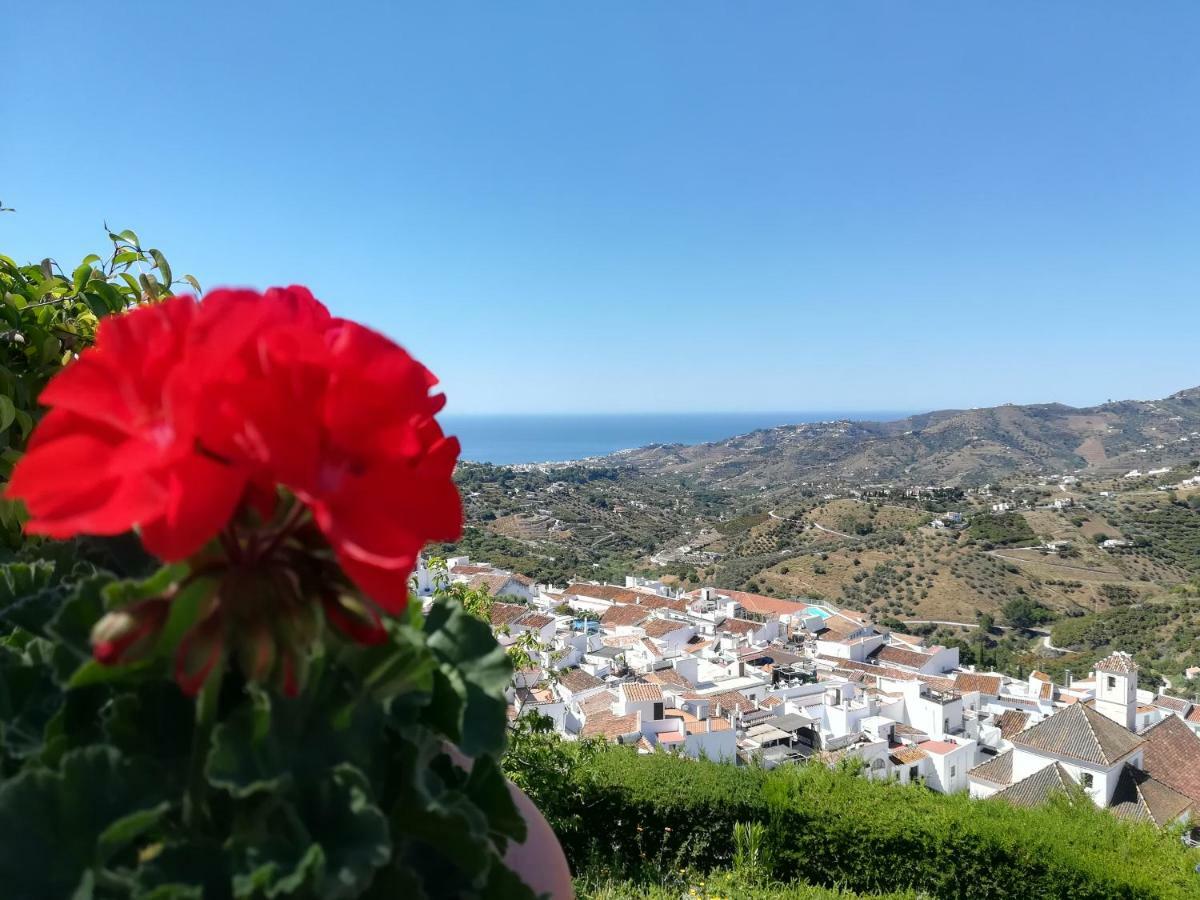 Casa Ana, Fantasticas Vistas A Frigiliana, El Mar Y La Montana Βίλα Εξωτερικό φωτογραφία